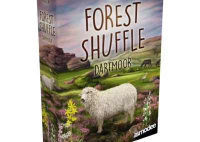 Forest Shuffle Dartmoor