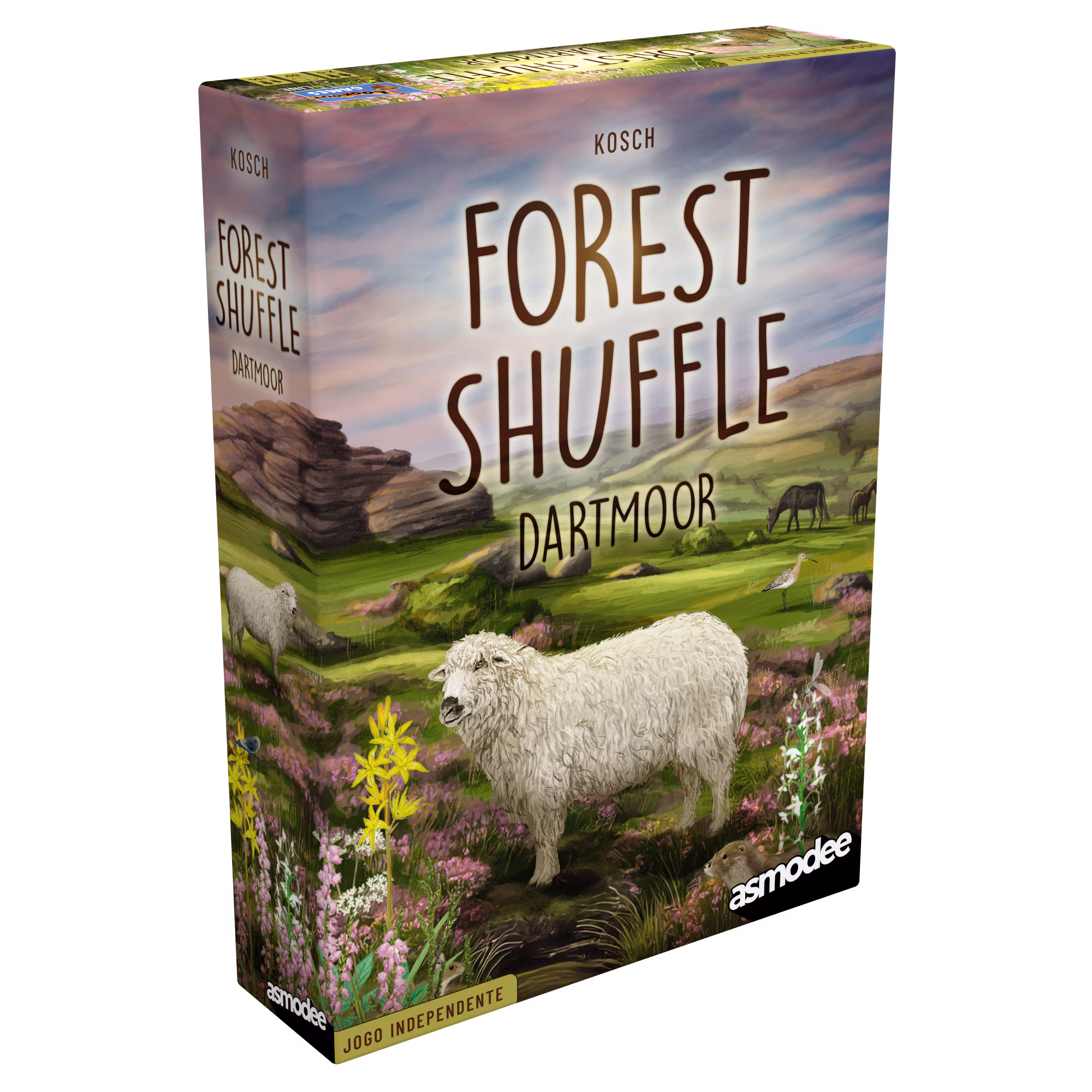 frente da caixa de forest shuffle dartmoor